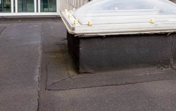 disadvantages of Water Houses flat roofs