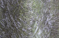 Water Houses fibreglass roof work